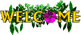 welcome.gif
