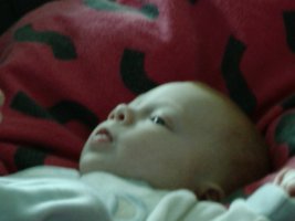 12-04 - Denise 01.jpg