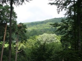IMG_0042k.jpg