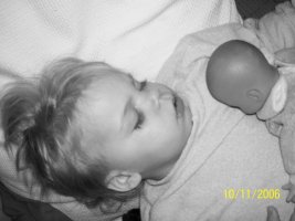 wieder fotos 008klein.jpg