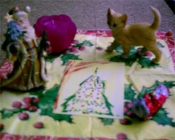 Wichtelgeschenk.jpg