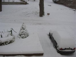 IMG_5135 (Medium).jpg