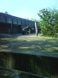 DSC00245.jpg