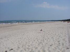 05.-09.06.07 159.jpg