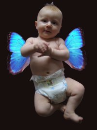schmetterling_nils.jpg