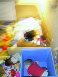 0802 schläft in Spielzeugkiste.jpg