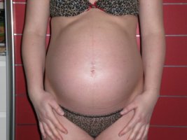 Schwangerschaft 005.jpg