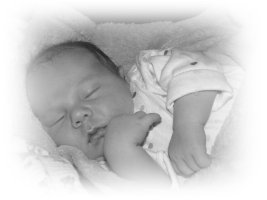 k-28.04.08 1g.jpg