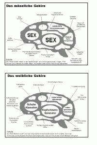 Gehirn mÃ¤nnl - weibl.gif