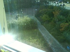 DSC01399.jpg