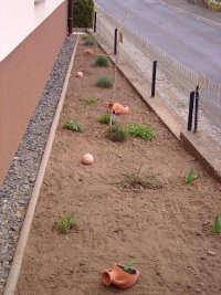 garten 023.jpg