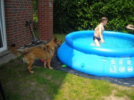 Pool 2.jpg