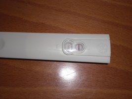 Test v. 9.März 2009.jpg