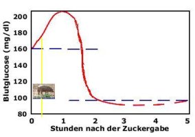 grafik1.jpg