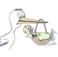 Storch.jpg
