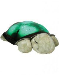 cloudb turtle.jpg cloudb turtle.jpg