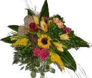 0019farben_der_natur.jpg