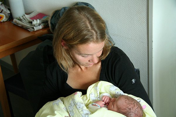 photo32.jpg